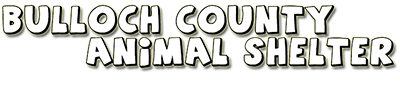 BCAS Logo